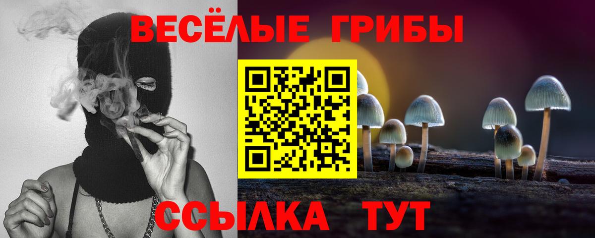 Псилоцибиновые грибы Psilocybe Россия